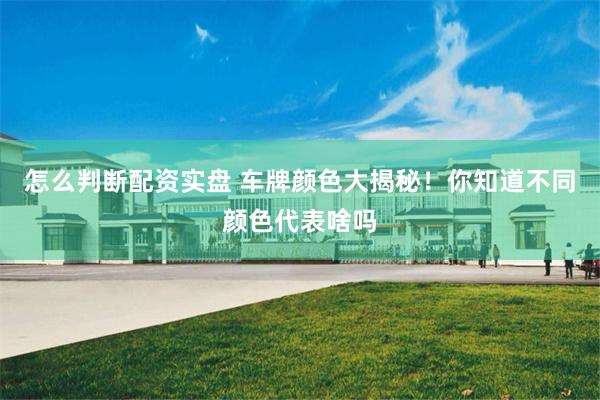 怎么判断配资实盘 车牌颜色大揭秘！你知道不同颜色代表啥吗
