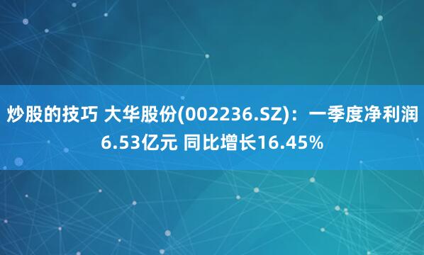 炒股的技巧 大华股份(002236.SZ)：一季度净利润6.53亿元 同比增长16.45%