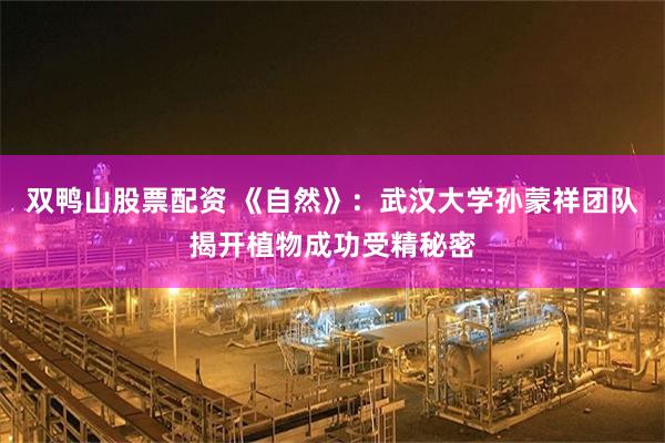 双鸭山股票配资 《自然》：武汉大学孙蒙祥团队揭开植物成功受精秘密
