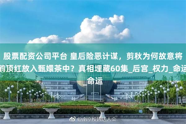股票配资公司平台 皇后险恶计谋，剪秋为何故意将鹤顶红放入甄嬛茶中？真相埋藏60集_后宫_权力_命运