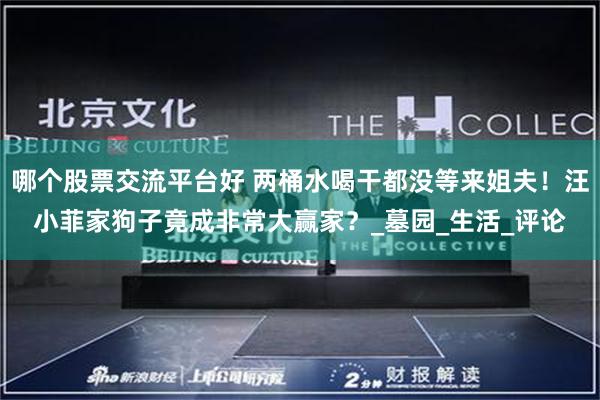 哪个股票交流平台好 两桶水喝干都没等来姐夫！汪小菲家狗子竟成非常大赢家？_墓园_生活_评论