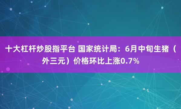 十大杠杆炒股指平台 国家统计局：6月中旬生猪（外三元）价格环比上涨0.7%