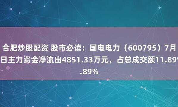 合肥炒股配资 股市必读：国电电力（600795）7月3日主力资金净流出4851.33万元，占总成交额11.89%